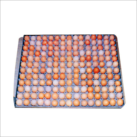 Plastic Egg Setting Tray (180 Eggs)