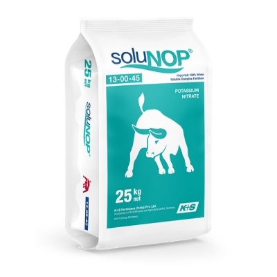 Potassium Nitrate Fertilizer