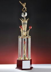 Reliable Cricket Trophy
