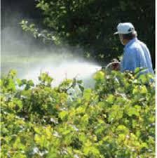 Carbon Gsp Herbicides