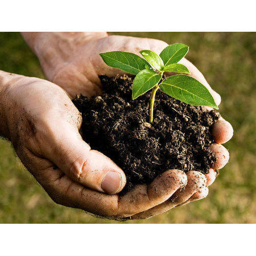 Bio Compost Organic Fertilizer - Powder Formulation | Promotes Plant Growth Enhances Soil Quality
