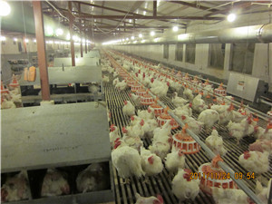 Automatic Controller Poultry Farm Equipment For Breeder Capacity: 8-9 Kg/Hr