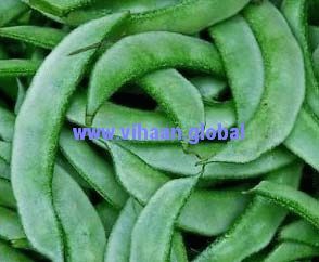 Flat Valor Beans (Papdi)