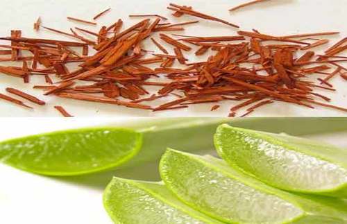 Aloe Vera Sandal Gel