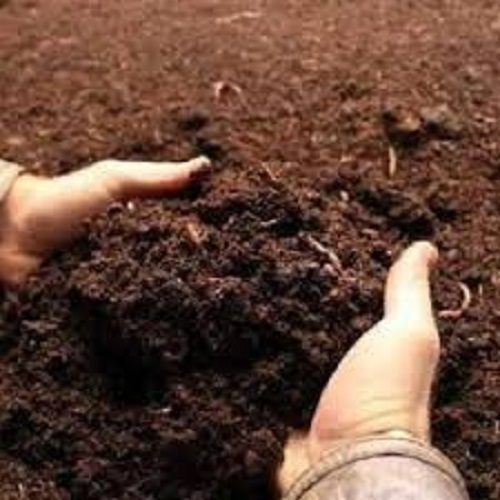 99.9% Pure Manure Based Non Toxic Natural Pure Agriculture Bio Fertilizer For Soil Fertility
