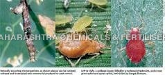 Slate Biopesticides