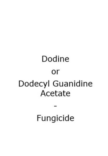 DODINE 65% Dodecylguanidine Acetate Dodecyl Guanidine Acetate